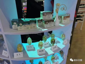 借力國(guó)際展會(huì)，麗水產(chǎn)品與平臺(tái)服務(wù)雙雙走出國(guó)門(mén) 理念先行如何精準(zhǔn)匹配外商胃口？